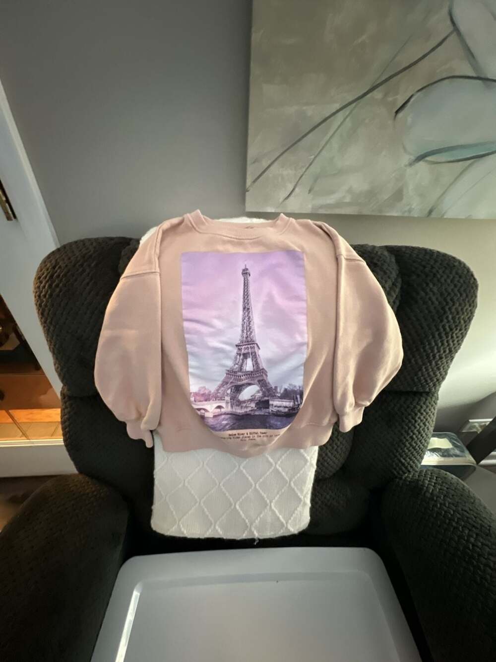 Zara Eiffel Tower Graphic Sweatshirt Size 7 Pink